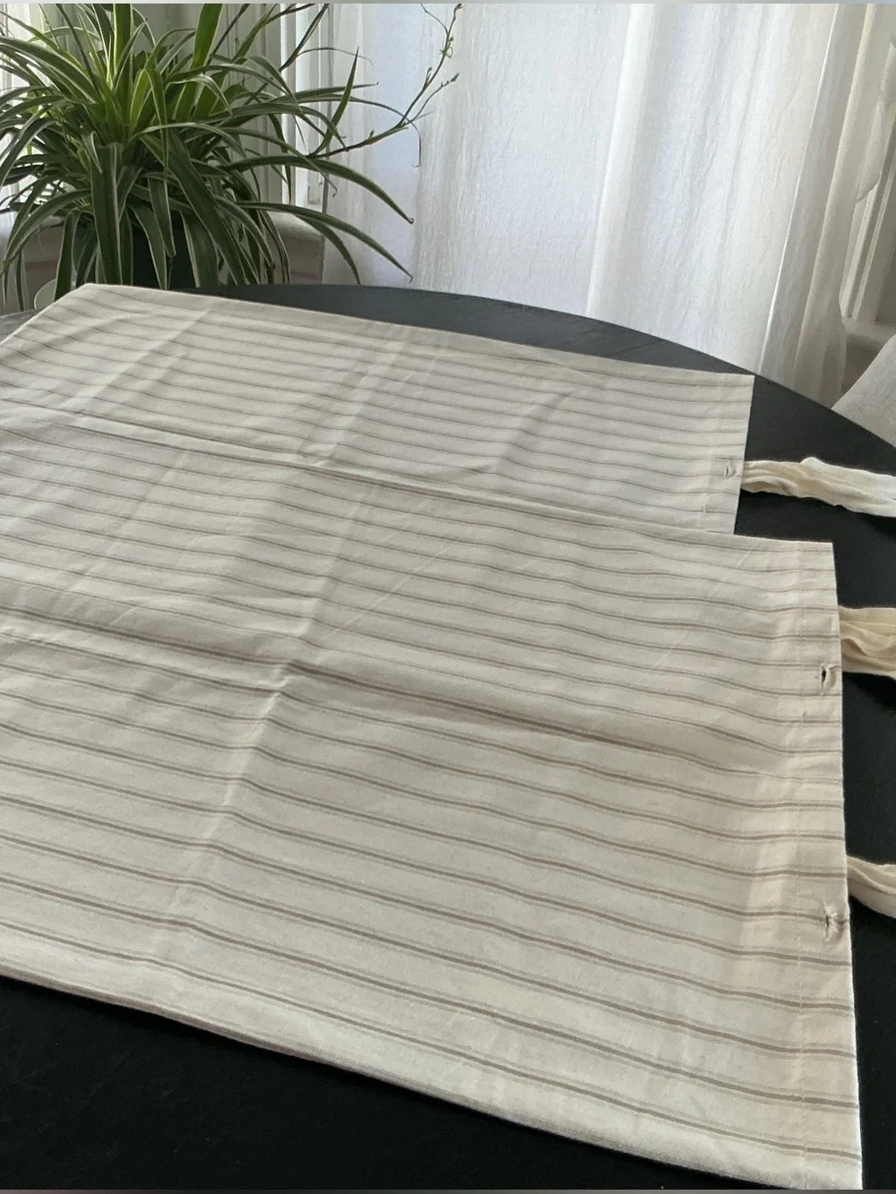 NWOT Pair of Ticking BALLARD SHAMS